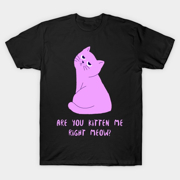 Are You Kitten Me Right Meow, Cute Cat T-Shirt by EquilibriumArt